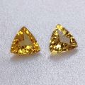 Paire de Béryls naturels d'Afrique du Sud - 0.83 et 0.92 Carats, couleur jaune