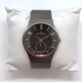 Skagen Denmark men's watch in steel, with original box and paper