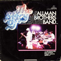 The Allman Brothers Band: The Story Of - Double LP in good condition