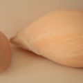 Cymbium Cymbium