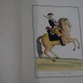 Uniformes militaires sous Louis XVI : superbe édition de 1779 richement illustrée