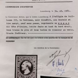 Rare Luxembourg 10 centime imperforated stamp with ivory head