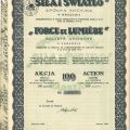 Bearer share worth 100 zlotys, Force et Lumière Company, 1935