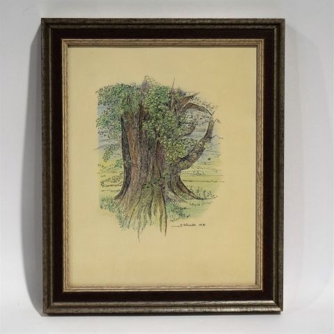 Carlo SCHNEIDER (1956) : Tronc d'arbre, Dessin rehaussé, signé et daté 11.88