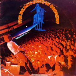 The Beach Boys: In Concert, double vinyl album in good condition