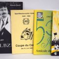 (SPORT/FOOT) Ensemble de livres sur le sport/foot