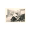 Seltene Fotografie eines TORNAX V175 Motorrads aus den 30er Jahren, registriert 242
