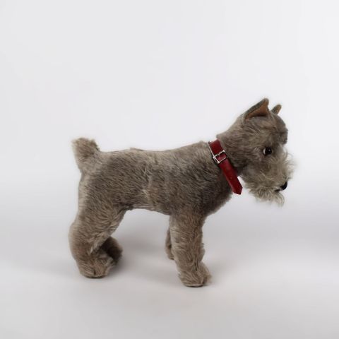 Chien en peluche Steiff modèle "SCHNAUZER" des années 60, collection vintage