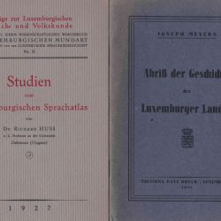 Historische und linguistische Studien über Luxemburg