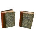 Revue Floréal: collection of 2 volumes of literature (1907-1908) in half-leather