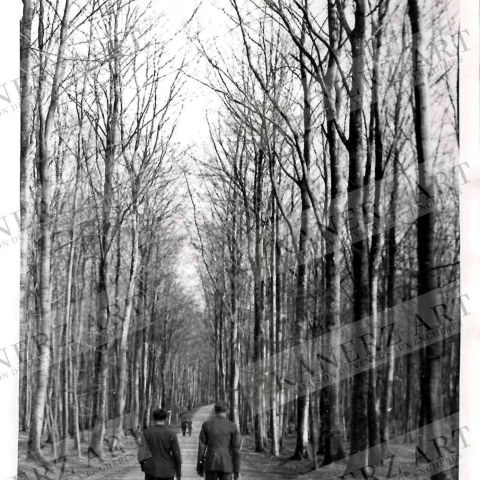 Photographie du Grunewald par N. Sibenaler, collection François Mersch à Luxembourg