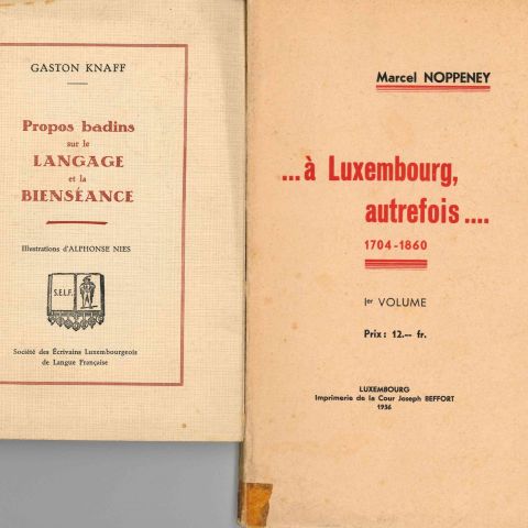 Luxembourg à travers les siècles : propos et souvenirs illustrés