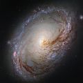 NASA. Fantastique photographie de l'amas d'étoiles surnommé "l'amas de Pandore"