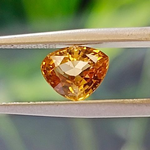 Zircon naturel jaune non traité, 1.82 carats, provenance Cambodge - Certificat GFCO