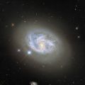 (NASA. GRAND FORMAT. TELESCOPE HUBBLE) Une galaxie spirale parmi des amies