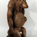 Singe Boulou, Cameroun