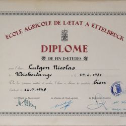Diplôme de l'École Agricole de l'État, 1948 - Imprimerie L. Olinger, Ettelbruck
