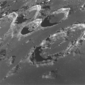 NASA Mission APOLLO 8. Impressionnante perspective oblique de la surface lunaire