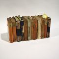 Ensemble de 10 volumes du Mémorial Administratif du Grand-Duché de Luxembourg (1817-1830)