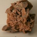 Rose des sables