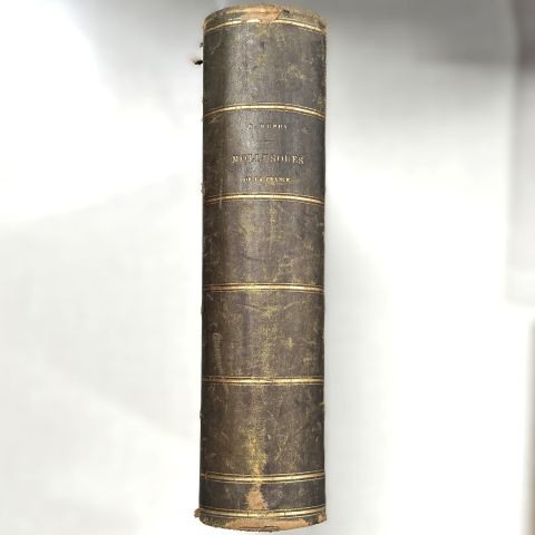 Histoire naturelle des mollusques français, édition rare avec envoi autographe de l’auteur