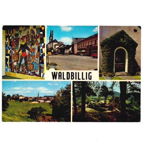 Carte postale semi-moderne de Waldbilig : un souvenir à découvrir