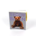 100 Jahre Teddybären: ein reich illustriertes Buch auf Deutsch
