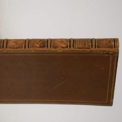 La vie fascinante de Madame Henriette d'Angleterre, épouse du Duc d'Orleans