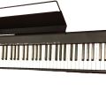 Piano numérique CASIO CDP S100