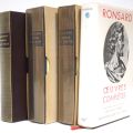Collection of classic volumes: Montesquieu, Ronsard, 16th-century storytellers and Voltaire