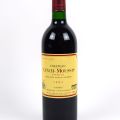 Château Lynch-Moussas 1993 : Bouteille de 5e Grand Cru classé de Pauillac